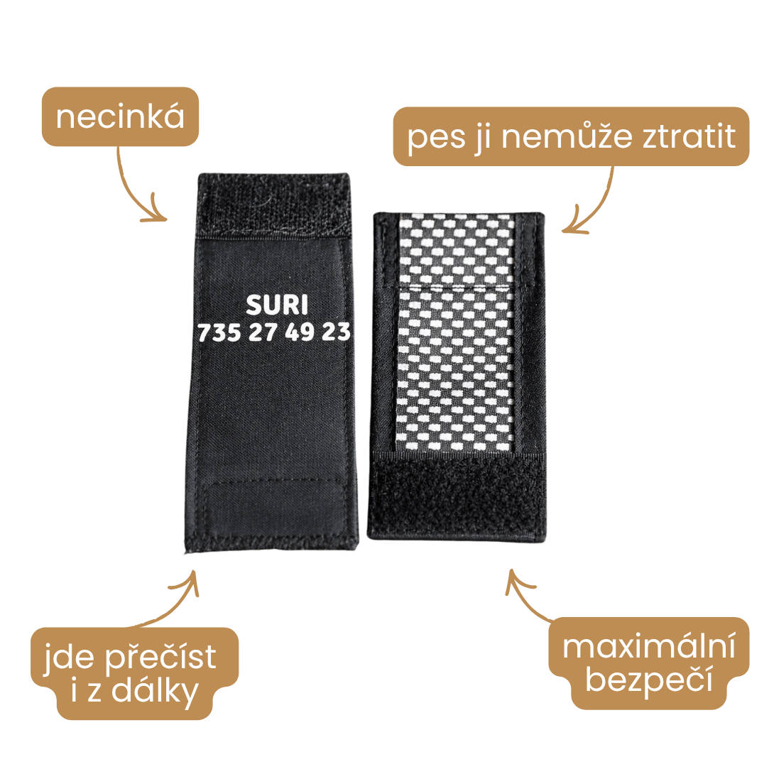 Jmenovka se jménem a telefonním číslem na obojku pro psa